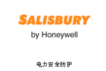 美国salisbury安全防护工具